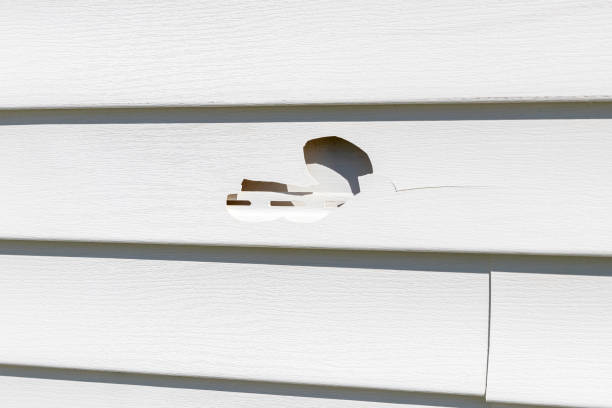 Best Siding Painting and Refinishing  in Firebaugh, CA